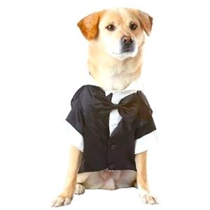 NWT Petco Special Occasions Wedding Dog Tuxedo, Large